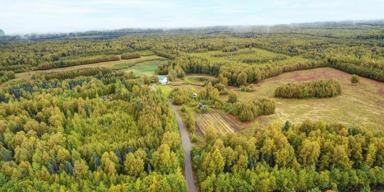 Falcon'S Nest Bed And Breakfast Talkeetna Zewnętrze zdjęcie