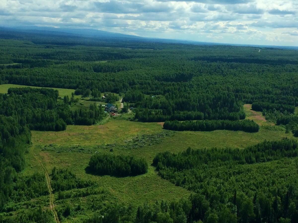 Falcon'S Nest Bed And Breakfast Talkeetna Zewnętrze zdjęcie