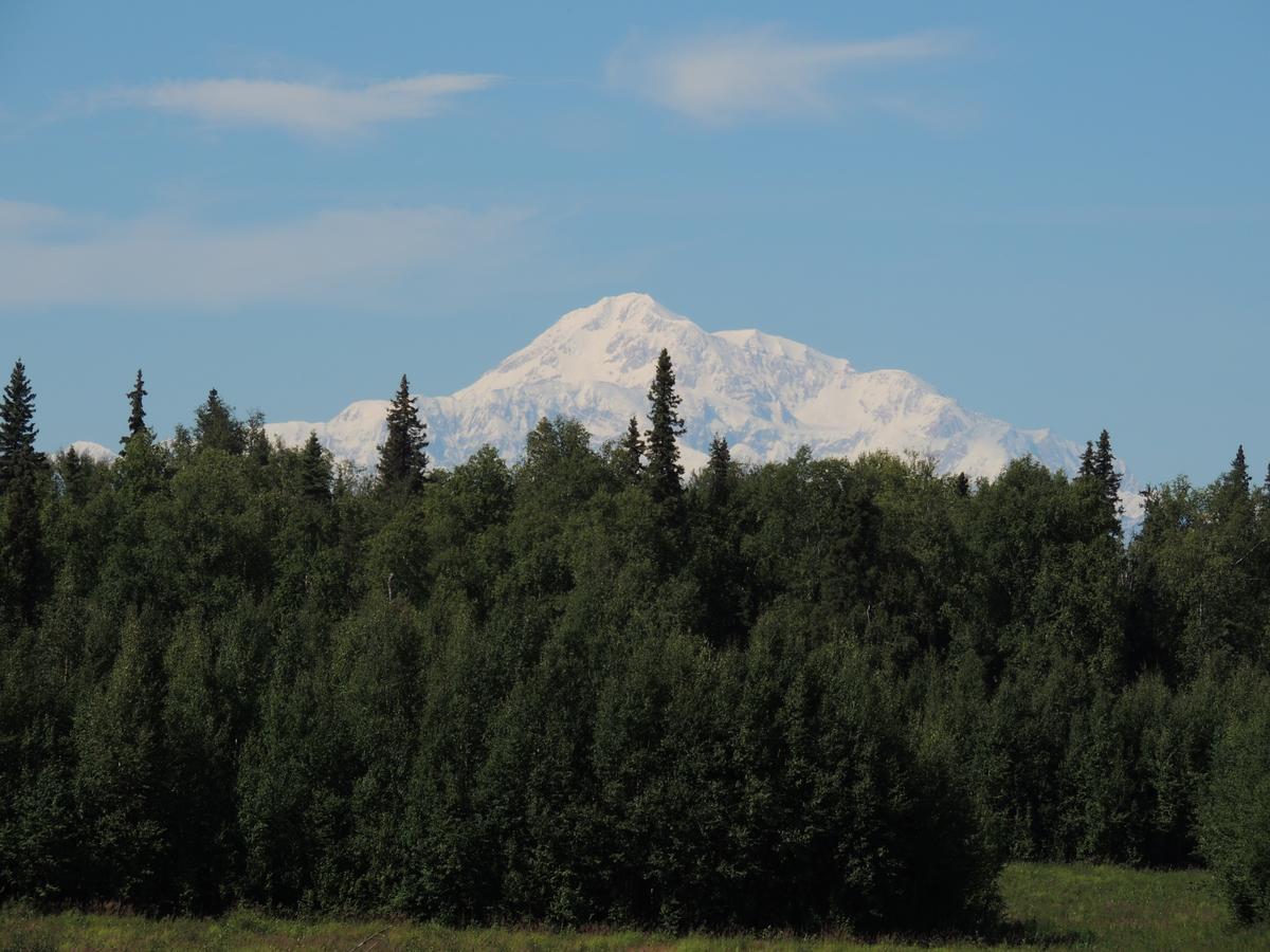 Falcon'S Nest Bed And Breakfast Talkeetna Zewnętrze zdjęcie